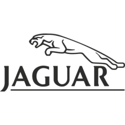 Autocollant JAGUAR logo jag...