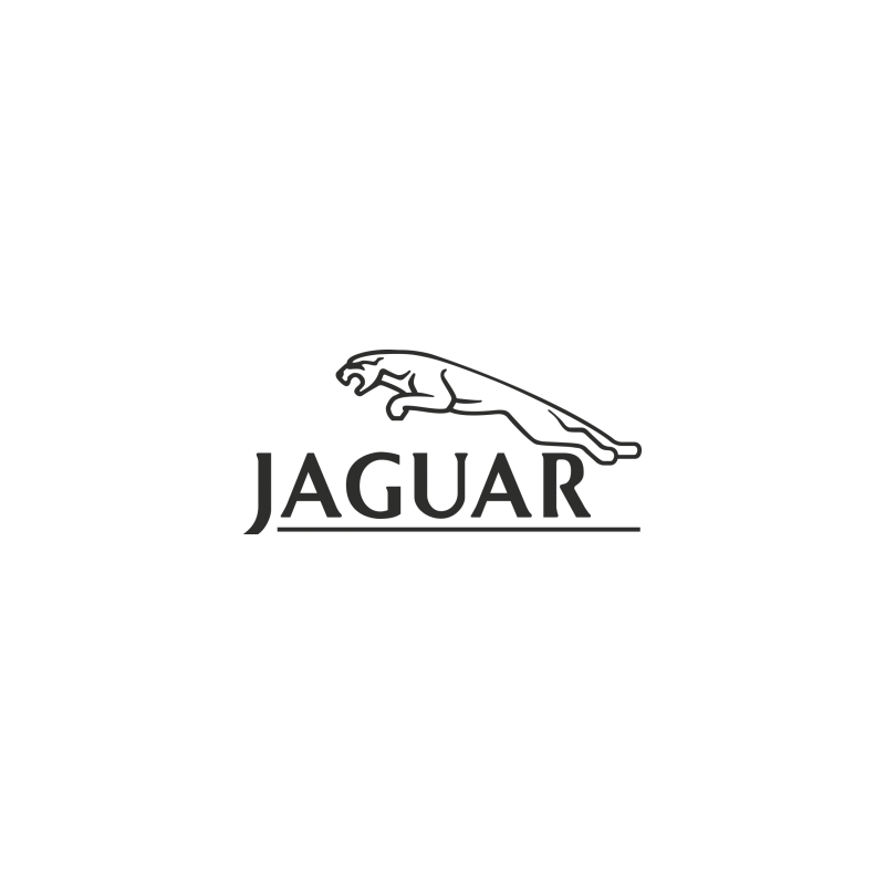 Autocollant JAGUAR logo jag L 65 H 30 mm