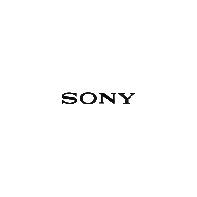 Autocollant SONY Logo 1962 L100 H 17 mm