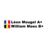 Autocollant Pilote copilote nom drapeau groupe L 200 H 55 mm